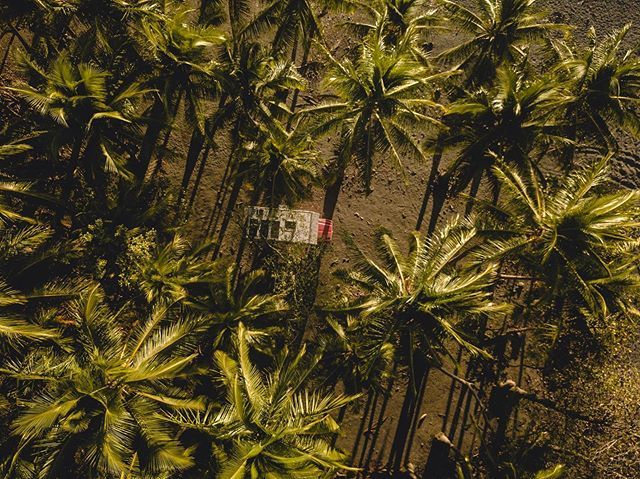 Bushcamp under palm trees 🚒💨
.
.
.
#einmalrundum #rvliving #homeiswhereyouparkit #vanlife #vanlifers #lovewhereyoulive #motorhome #nomadlife #nomads #vanliferevolution #overlandnation #nomadstays #adventuremobile #roadlife #roadtrip #rvlifestyle #hom… bit.ly/2Wo0hOx