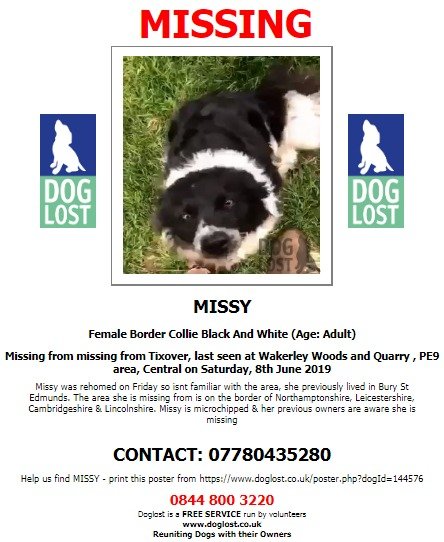 DogLostUK's tweet photo. #LOST #DOG MISSY
Female #BorderCollie Black & White Adult
Missing from #Tixover last seen at #Wakerley Woods and Quarry #PE9
Saturday 8th June 2019
#LostDog #ScanMe @SAMPAuk_ @VetsGetScanning
https://t.co/TjCmVDLBDj https://t.co/fDrOhGTl8o
