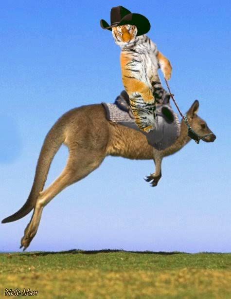 It is a kangaroo. Кенгуру для детей животное. Kangourou. It is a kangaroo. Кенгуру карточка для детей.