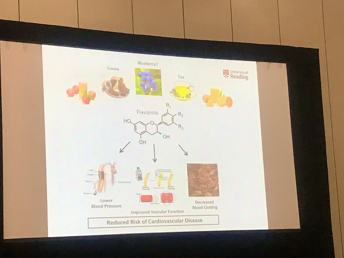 DrSarahAJohnson's tweet image. Great presentation on Absorption, Metabolism, and Health Impacts of Bioactive Food Components by @Prof_JPESpencer at #Nutrition2019. He presented evidence supporting flavanol-rich foods for improving vascular and cognitive function.