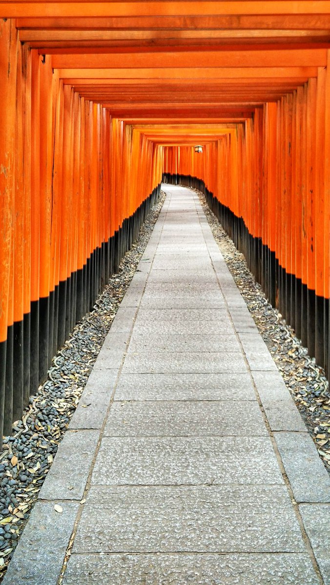 𝕄𝕠𝕟𝕚𝕜𝕒 ℙ𝕠𝕖𝕕𝕛𝕠𝕙𝕒𝕣𝕤𝕠𝕟𝕠 The Path To Fushimi Inari Taisha You Walk Along These Senbon Torii There Are Around 1000 Senbon Torii Courtesy Of Donors Whose Wishes Were Granted Or Wanted To 𝕄𝕠𝕟𝕚𝕜𝕒 ℙ𝕠𝕖𝕕𝕛𝕠𝕙𝕒𝕣𝕤𝕠𝕟𝕠 The Path To Fushimi Inari Taisha You Walk Along These Senbon Torii There Are Around 1000 Senbon Torii Courtesy Of Donors Whose Wishes Were Granted Or Wanted To
