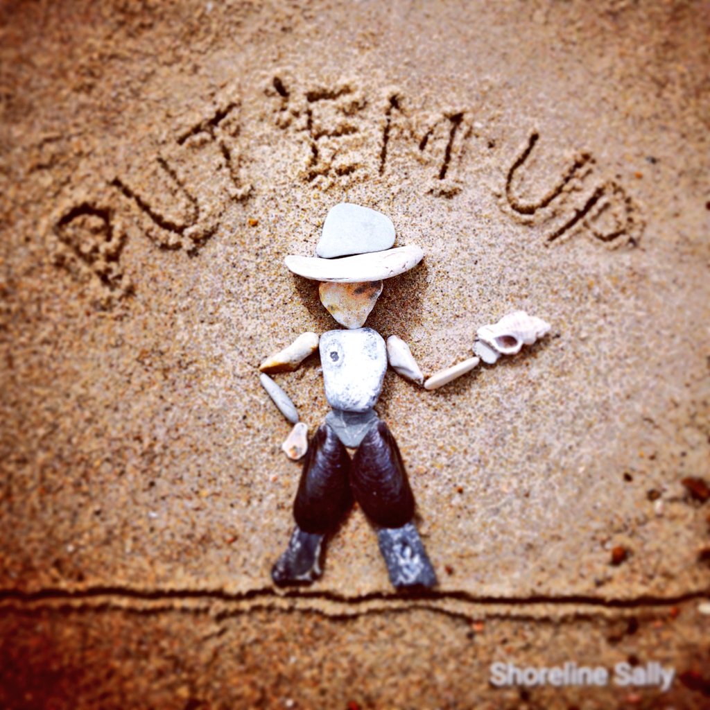 DigiDaughter's tweet photo. "Put 'em up!" #cowboy #sherrif #beachart #minisculpture #chaps #mussels #stones #sandart π€ ππ§ #shorelinesally #seaglass #shellmandala https://t.co/eoOwOFX8UN