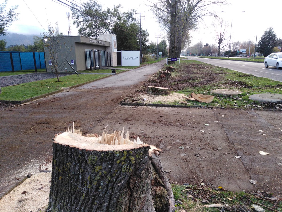 HctorQuiroz10's tweet photo. @socovesa era necesaria está masacre para darle acceso a su proyecto acá en Temuco?
Cuáles son las medidas de mitigación?
Por que todos debemos pagar por sus ganancias? https://t.co/qMNFlVM9Ol