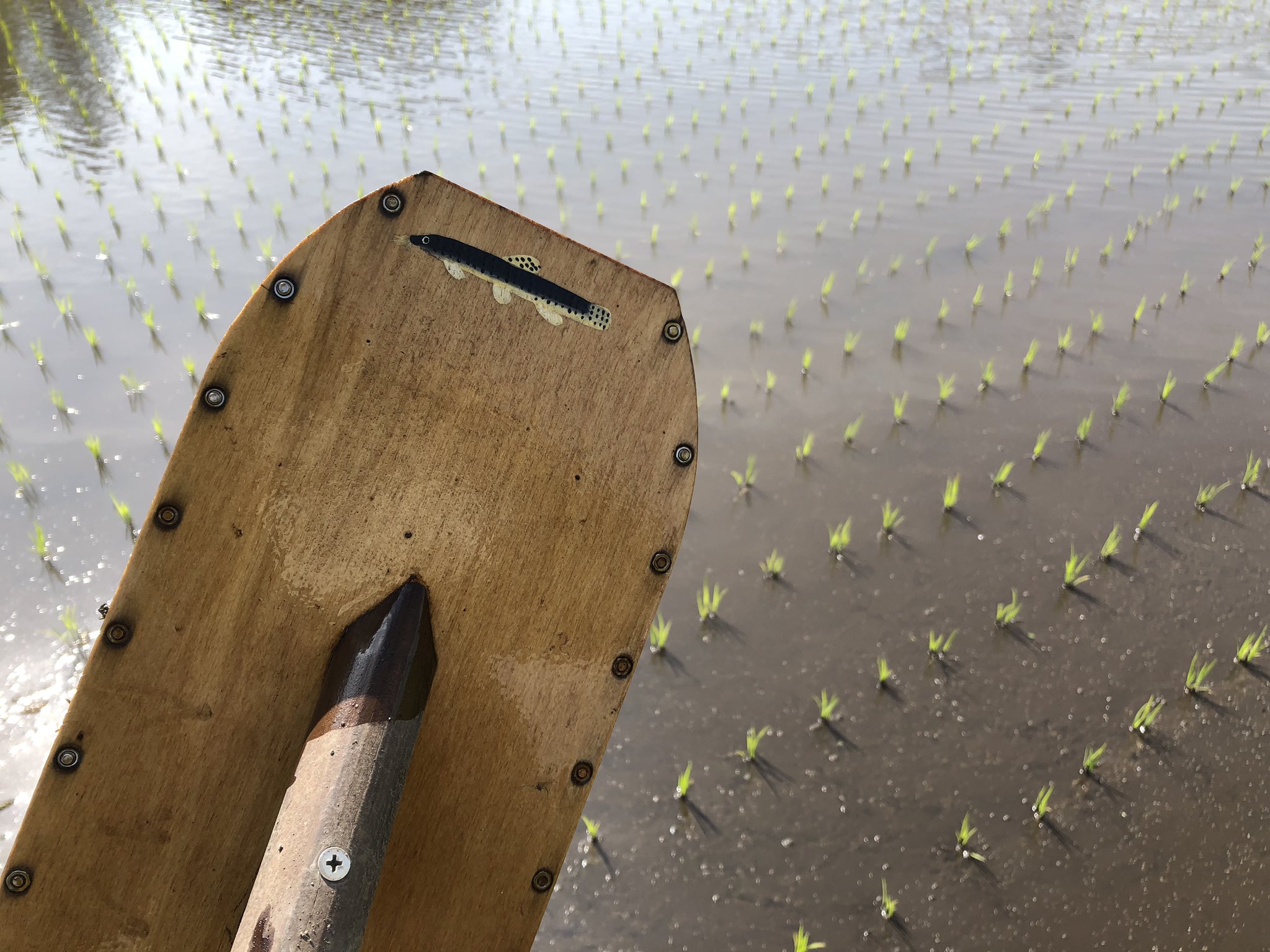 中野式除草機株間用ロング