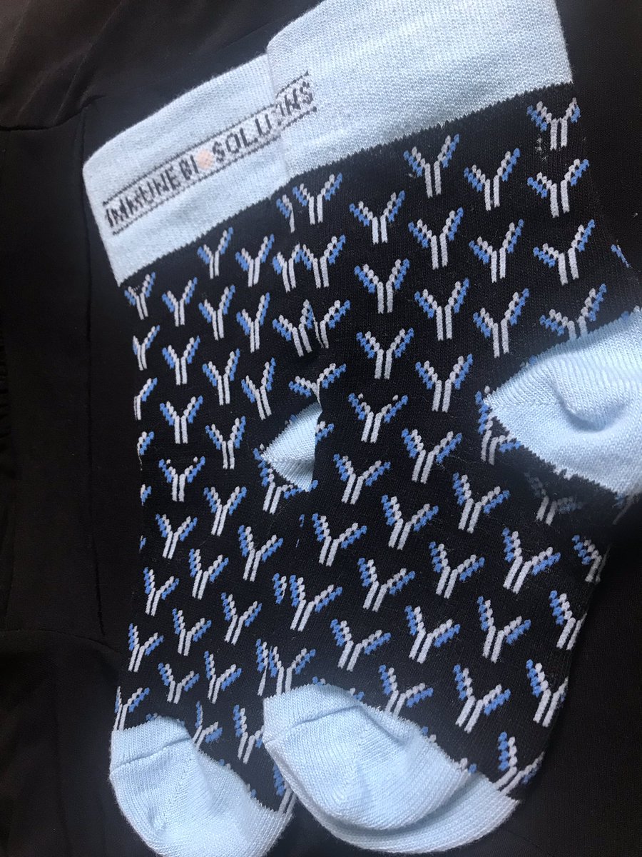 Rebecca Yu 🇨🇦 tweet media