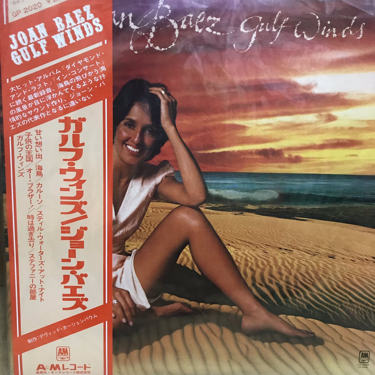 6月9日はロックの日だったので、うちにあるお気に入りのレコードジャケットを紹介。
リッキー・リー・ジョーンズ、カーリー・サイモン、ジョーン・バエズ、ミスター・ビッグ。ミスター・ビッグは90年代だったかに結成されたアメリカのスーパー・グループじゃなくて、70年代イギリスの隠れた名バンド。
