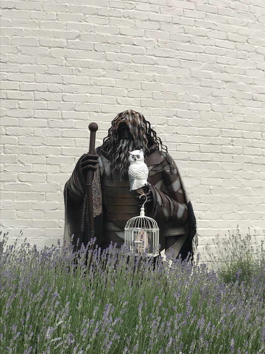 HarmstonMHall's tweet photo. There’s some exciting stuff going on in the village today! A storybook treasure hunt, followed by cake in the village hall 🍰🧁 https://t.co/GyFtMG86SD