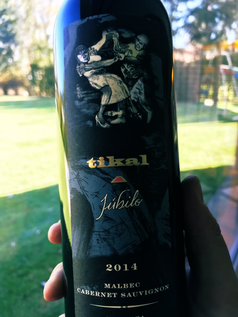 Sunday mood! Vinazo de <a href="/tikalnatural/">Tikalnatural</a> . Salut! #tomarvino