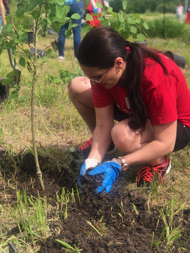 forestscanada's tweet photo. We're at the Forest Recovery Canada @Rogers #GiveTogether Volunteer Day in Brampton today! 80 amazing Rogers volunteers are here to plant 400 trees &amp; shrubs, which will grow into tomorrow's thriving forests.🌲🌳Thank you @TRCA_HQ for partnering with us today! #ForestRC #GiveBack https://t.co/WPgsszdQie