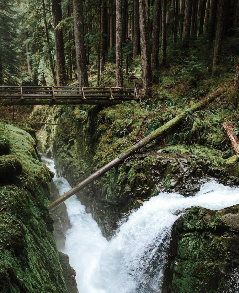 coffee_n_mtns's tweet photo. Olympic National Park https://t.co/abNq1mv4iV