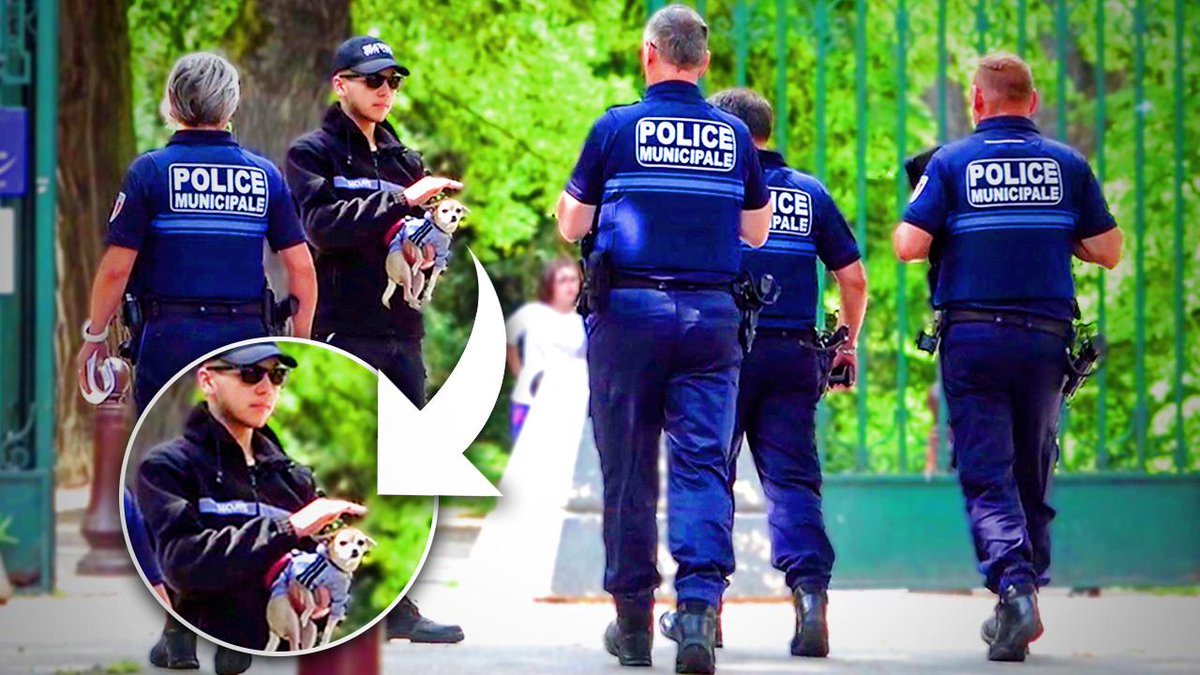 BatFlunch tweet media