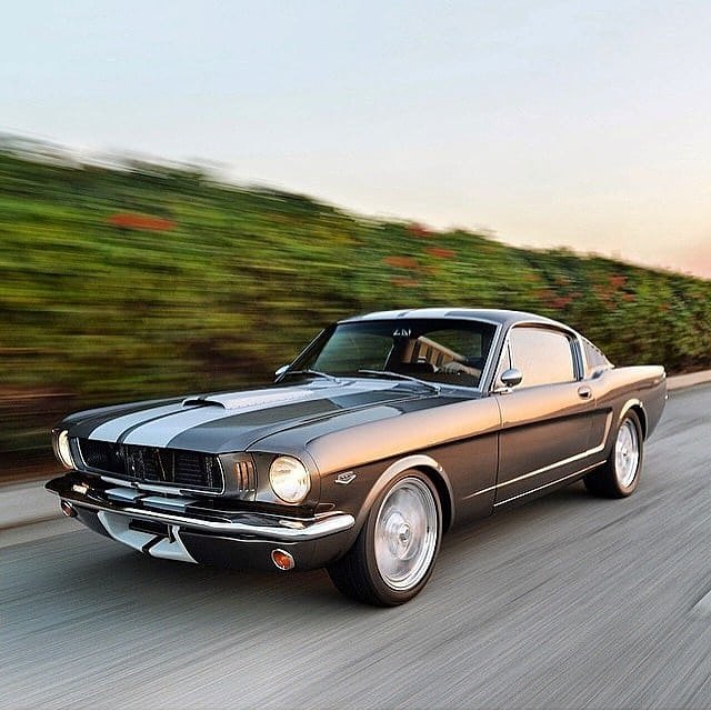 ModdedMustang's tweet photo. Beautiful
https://t.co/ztBH1yGufq
#mustang #mustangparts #mustangdepot #lasvegas Follow @MustangDepot
Reposted from @ghostgtx #stangdetails
.
#ghostgtx via @drewphillipsphoto
#ford #fordmustang #stang #fastback #fastcars #exoticcars #mustang #fordpower #classiccar https://t.co/OslO3hKOHt