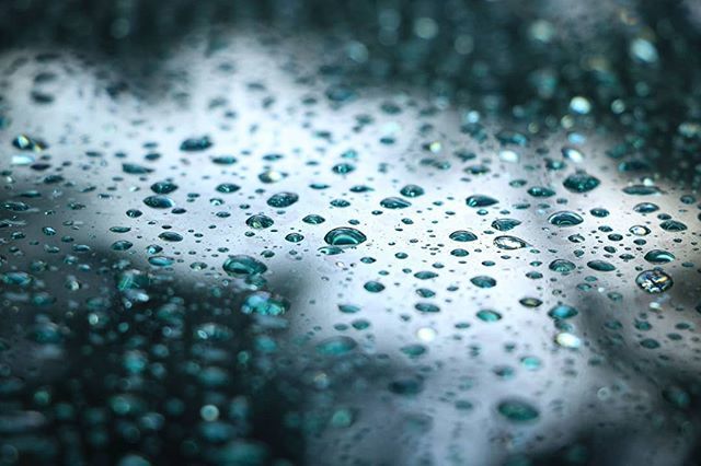 AshbyAsk007's tweet photo. Those cyan globules.
#noedit #nofilters 
#dslr_official #indianclicks #i_u_p #incredibleindiaofficial #indianphotographers #photogtaphy__repost #soc_5 #photographyislife #eyewinawards #lensmenofficial #iclickshutter #indian_raw_talent #i_hobbygraphy #_co… https://t.co/b6pJaGkhJu https://t.co/BScDOvLF3z