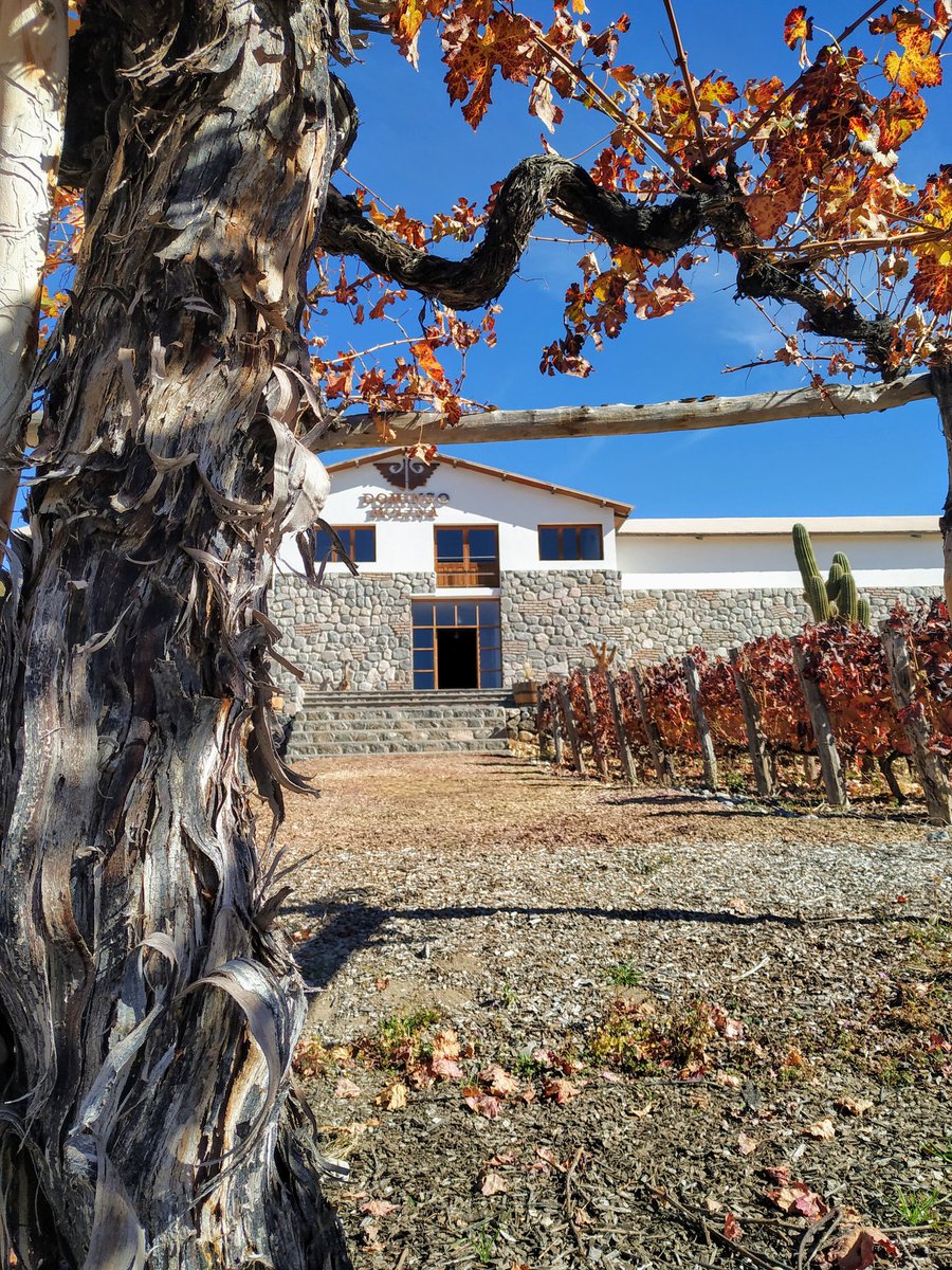 SommelierMza's tweet photo. #Domingo a pleno Sol 🌞 y #Vino 🍷🍷 en #Cafayate @Dgo_Molina
#Salta #NOA #CulturaSommelier #SommReview #VinoArgentino https://t.co/jMjBBDiOmF