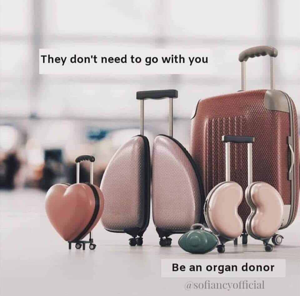 hibametani's tweet image. Be a blood and organ donor. All it costs is a little love♥️
#helphopelive