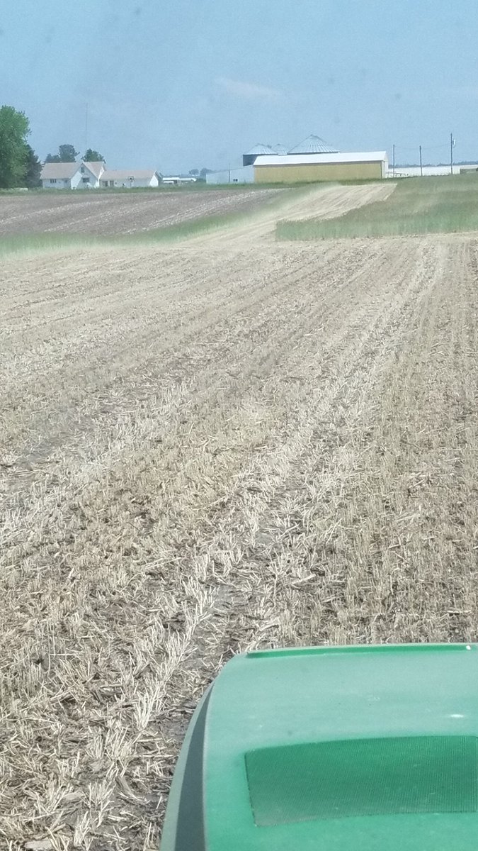 Early termination of rye baled off rye late terminated rye any bets on yield difference?