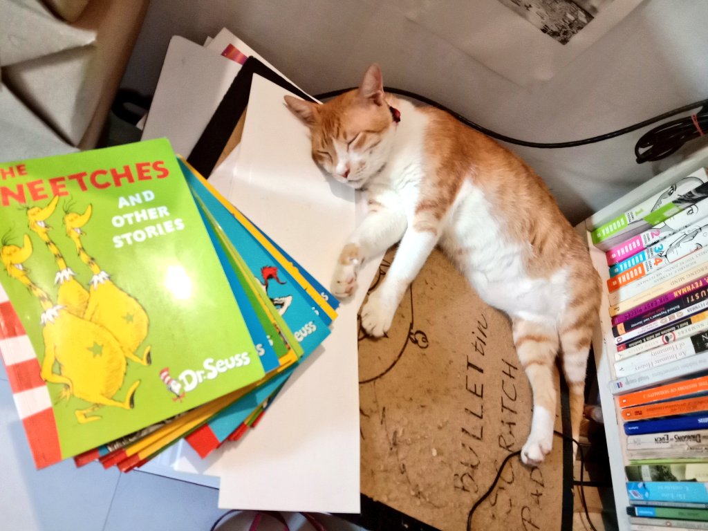 Poet_Manushi's tweet photo. படிச்சு படிச்சு டயர்டாகிட்டேன் 😂😂😂
#bullet #catsalove #catslife #catsdiary #auroville_diary https://t.co/Mgl1yU2ffT