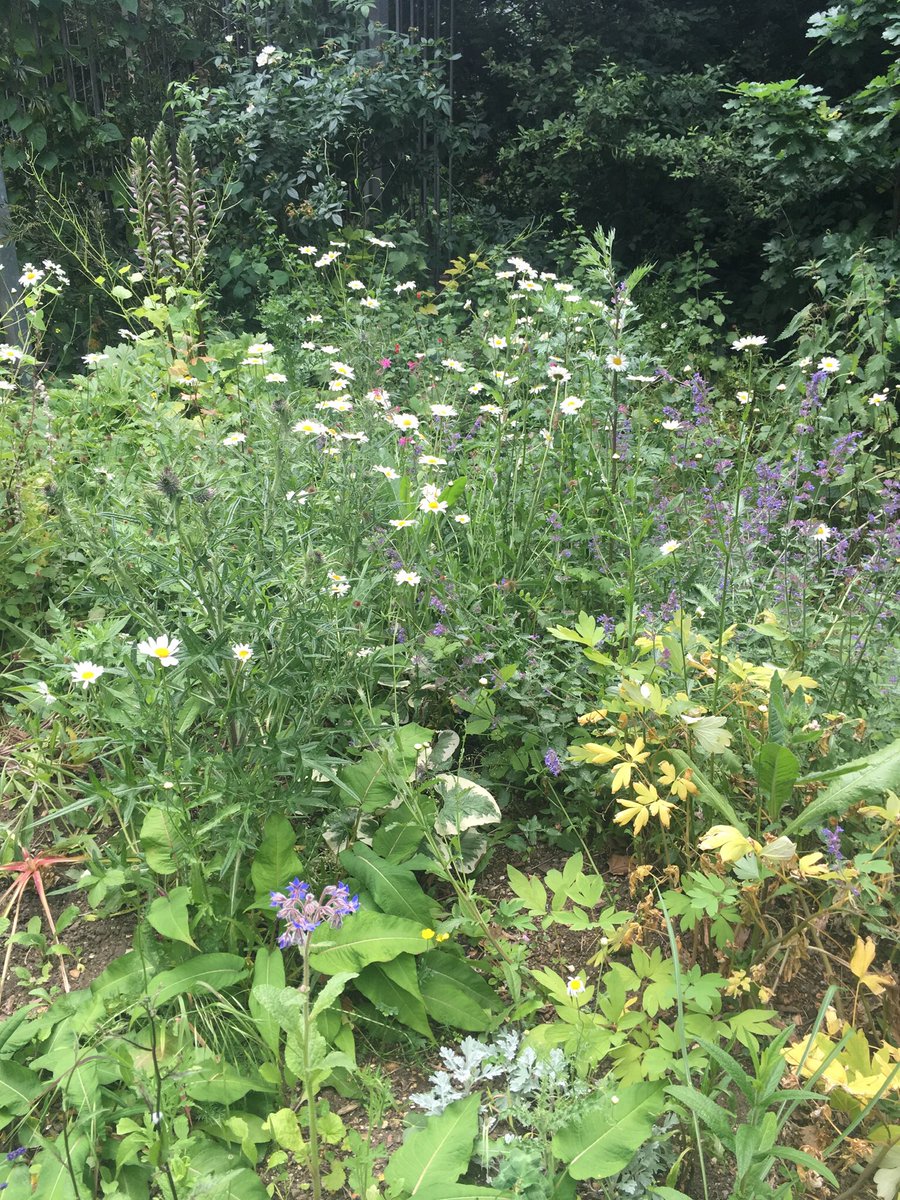 BarbicanWLG's tweet photo. Thank you to the 700 plus visitors who came to the Garden @OpenSquares and the many exchages of ideas and information. https://t.co/swnknezHgK