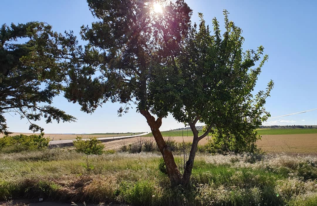 pabloalboran's tweet photo. #momentosporvivir #desconexión #teamgalaxy #campo #relax #rayandoelsol https://t.co/J0k8RLT2xd