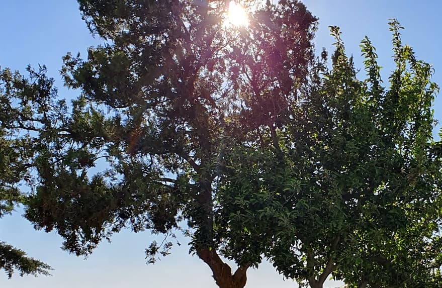 pabloalboran's tweet photo. #momentosporvivir #desconexión #teamgalaxy #campo #relax #rayandoelsol https://t.co/J0k8RLT2xd