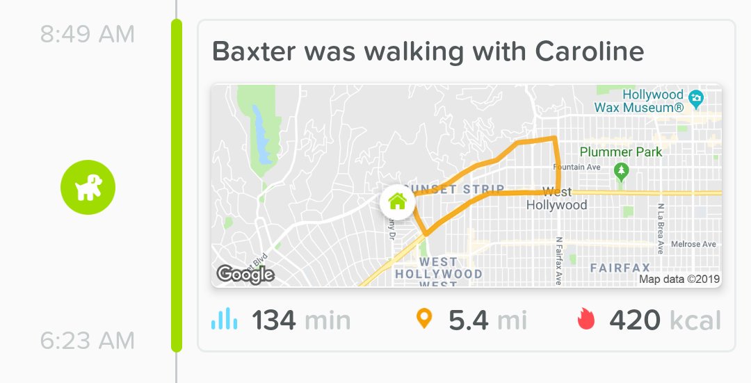 BFPBaxter's tweet photo. I'm almost 11 years old, but I LOVE my walks with Mom. #fivemiler @beaglefreedom @WhistleLabs https://t.co/dpz4y5ZpIk