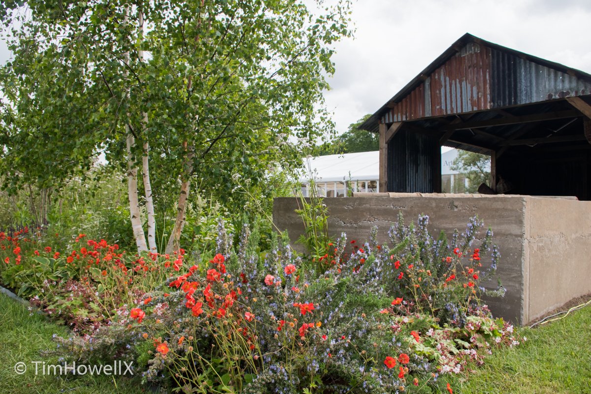 Tim Howell tweet media