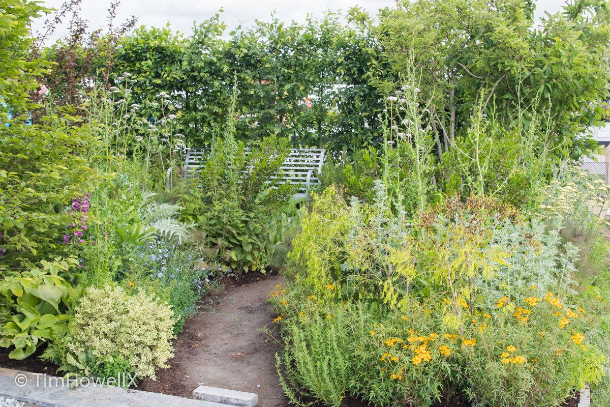 Tim Howell tweet media