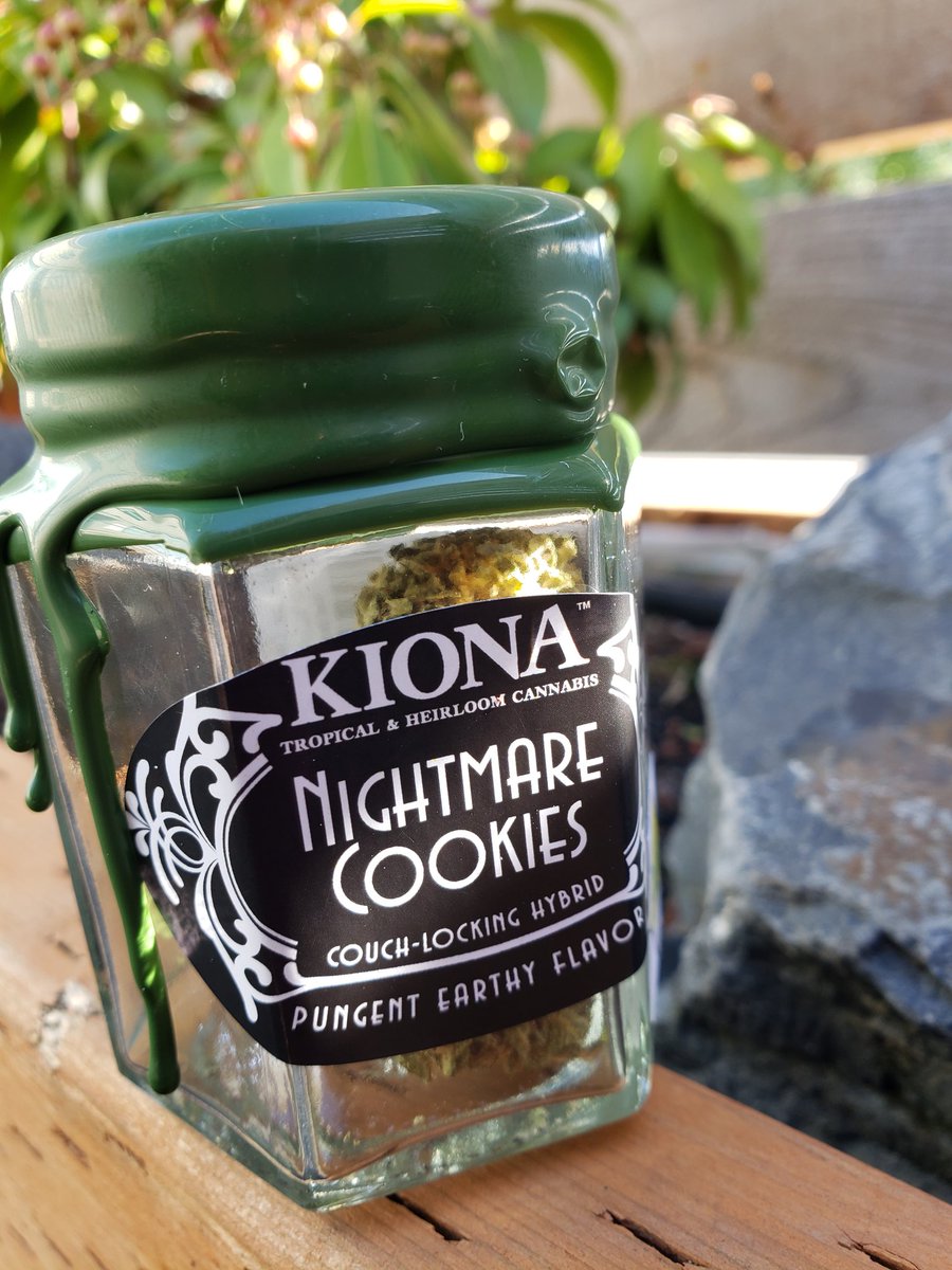 420EvergreenDr's tweet photo. Fresh drop from Kiona THC. New concentrate and pre-roll options are also available. Come see what's new at @420EvergreenDr #kionathc #420Evergreen #weshouldsmoke #pnwstoners #freshbuds https://t.co/l2m7EVHP4N