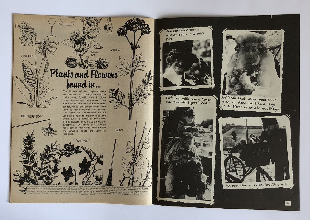 Worzel Gummidge Collector tweet media