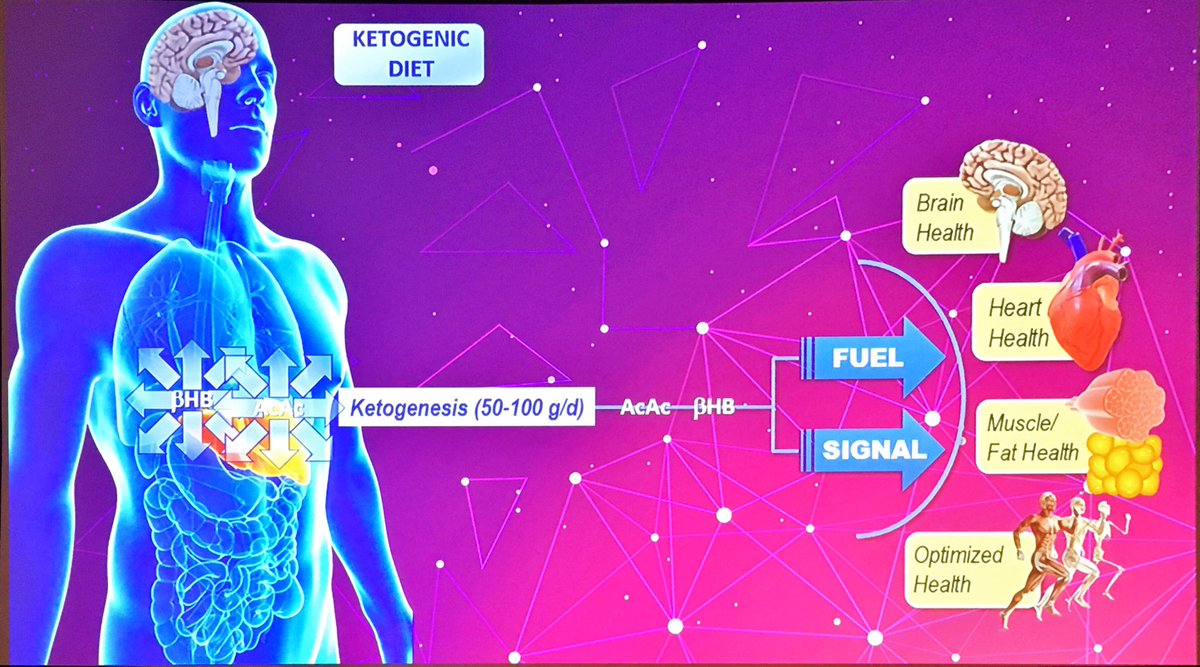 DrTinahones's tweet image. En #ADA2019 #2019ADA se reconoce que la dietas muy bajas en hidratos de carbono (cetogenicas) es un hot topic que hay que reestudiar. El efecto de cuerpos cetonicos en diferentes organos es prometedor @Borjawy