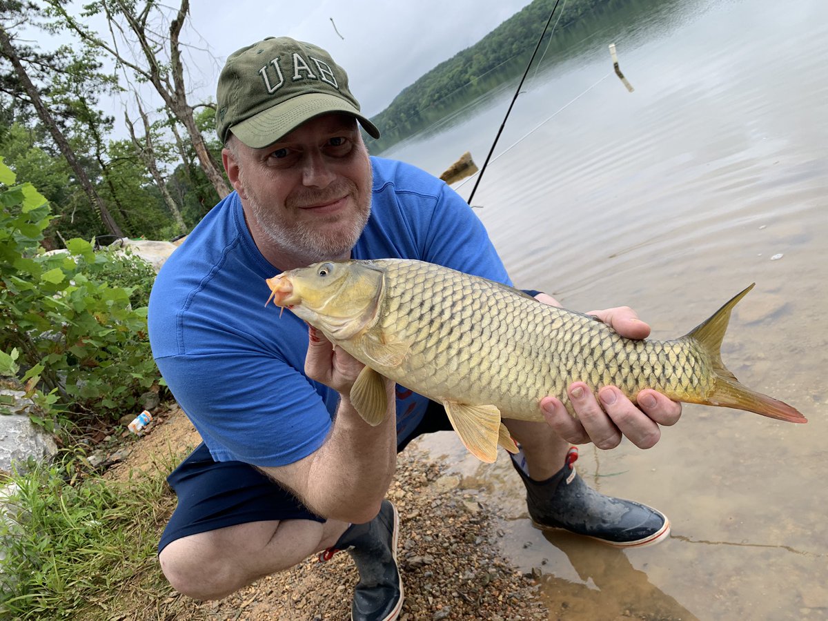 bassgifs's tweet photo. The king of Lake Purdy @Bryan_Brasher put me on em today. #CarpeDiem #carpmaster #freshoatmeal https://t.co/HwtXP2XgnE
