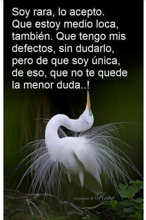 SandyRiCa80's tweet image. Y si
Seguiré siendo única!! 😉