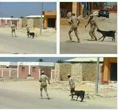 اشتاقو للصنعه الجماعه... صحيح النسي قديمو تاه
#العصيان_المدني_الشامل