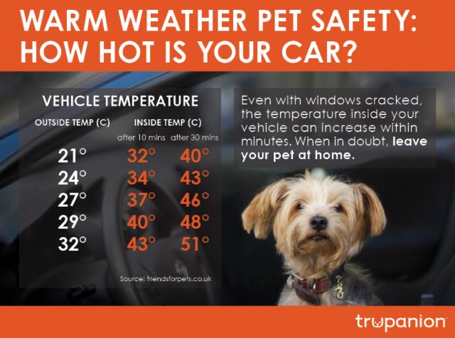 There is absolutely no excuse for leaving your pet unattended in a vehicle. With these warm temperatures it doesn’t take very long for your pet to become overheated.