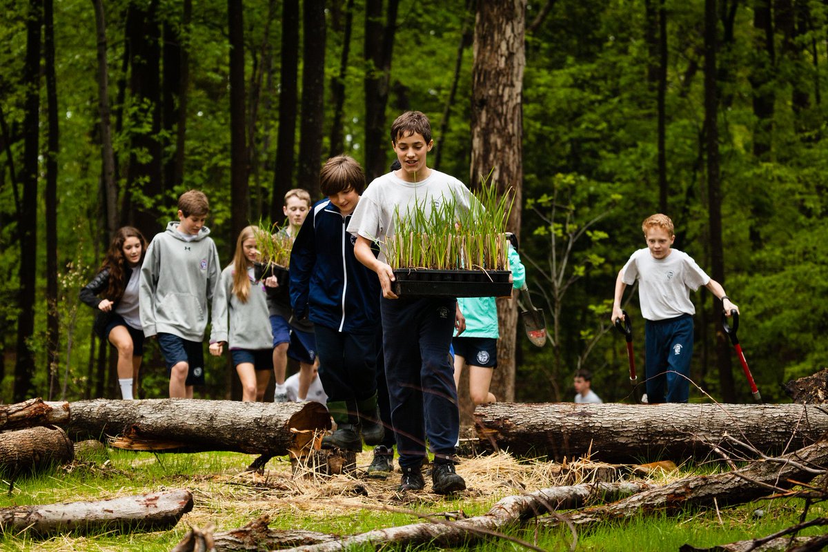 MDLCV's tweet image. Underwater grasses🌱 are rebounding throughout the Bay, leading to improved water clarity and providing habitat for critters like blue crab🦀. Learn how you can help as a citizen scientist: buff.ly/2IAnHv0
#OneChesapeake #AllHands
