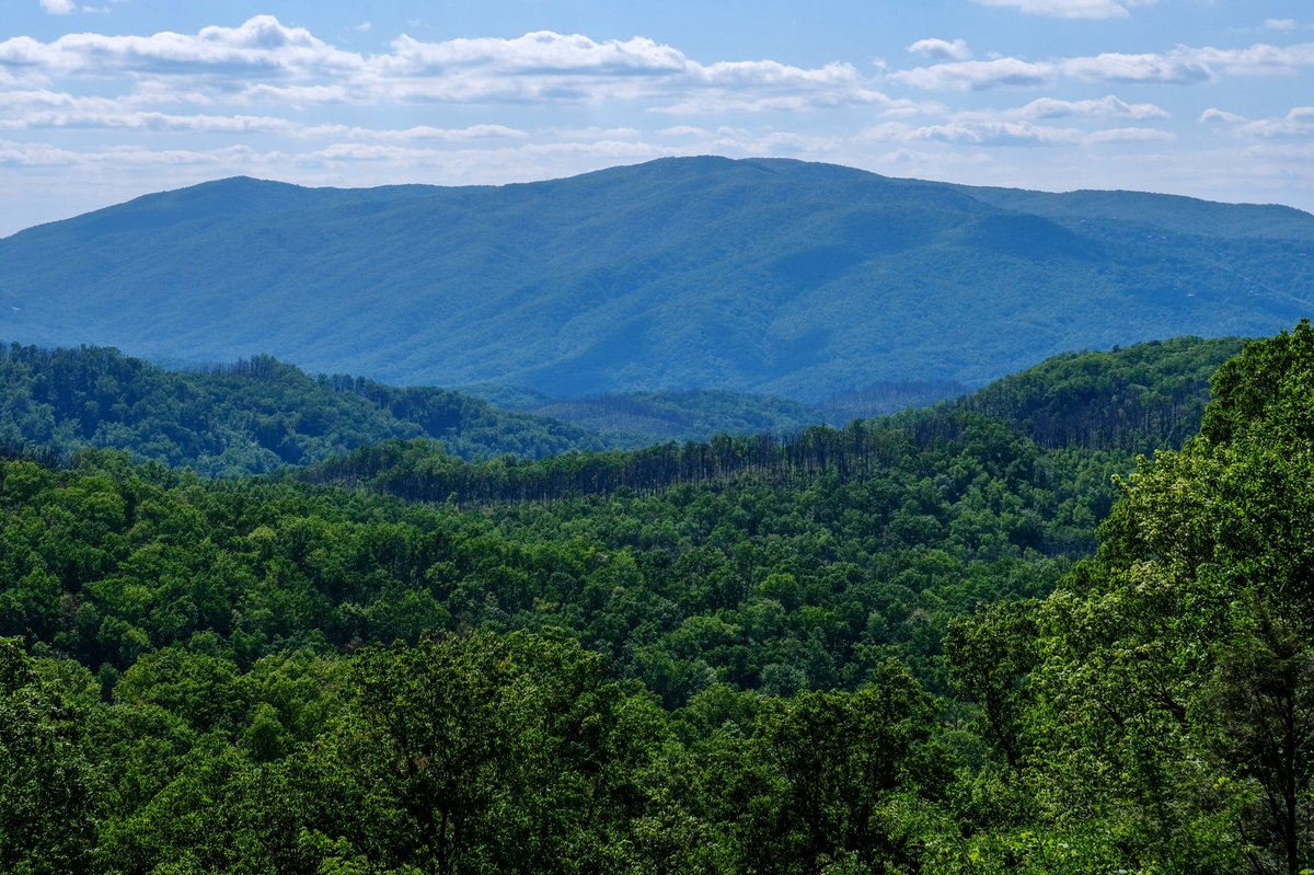 I think, every time I'm on the mountain, I'm just so thankful to be there. -Chloe Kim
