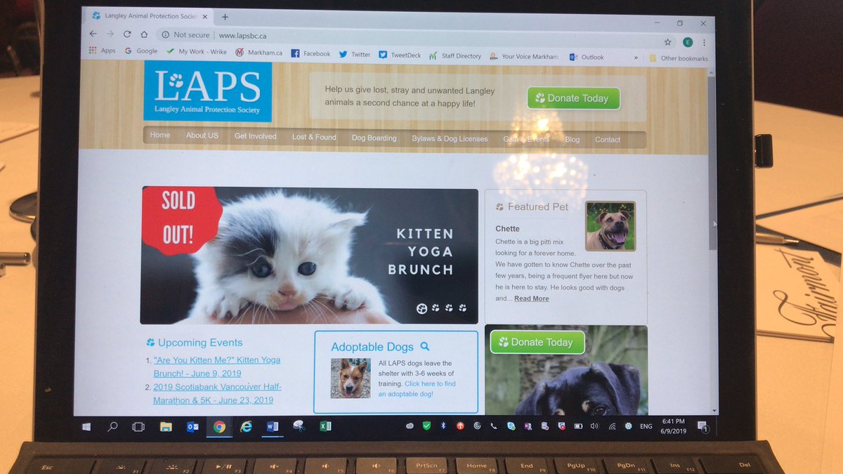 GirardEmma's tweet photo. And it begins! Giving back to Langley Animal Protection Society with the Gift of Communication, advice and mentoring. #IABC2019 #AnimalsLoveLAPS @LAPSBC https://t.co/EYmrX3sm6C