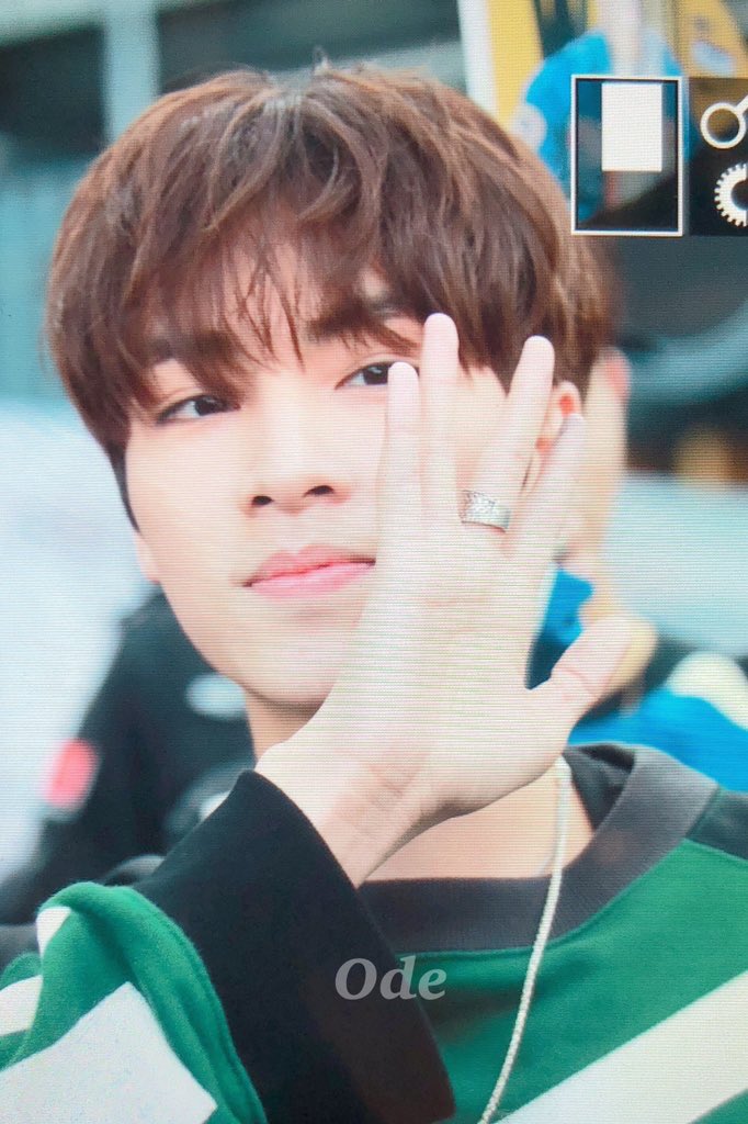 Xiaojun pics 🦖 tweet media