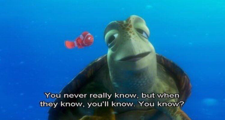 Funny Finding Nemo Quotes Movie Quotes On Twitter: "Finding Nemo Https://T.co/C3Juvipmv1" / Twitter