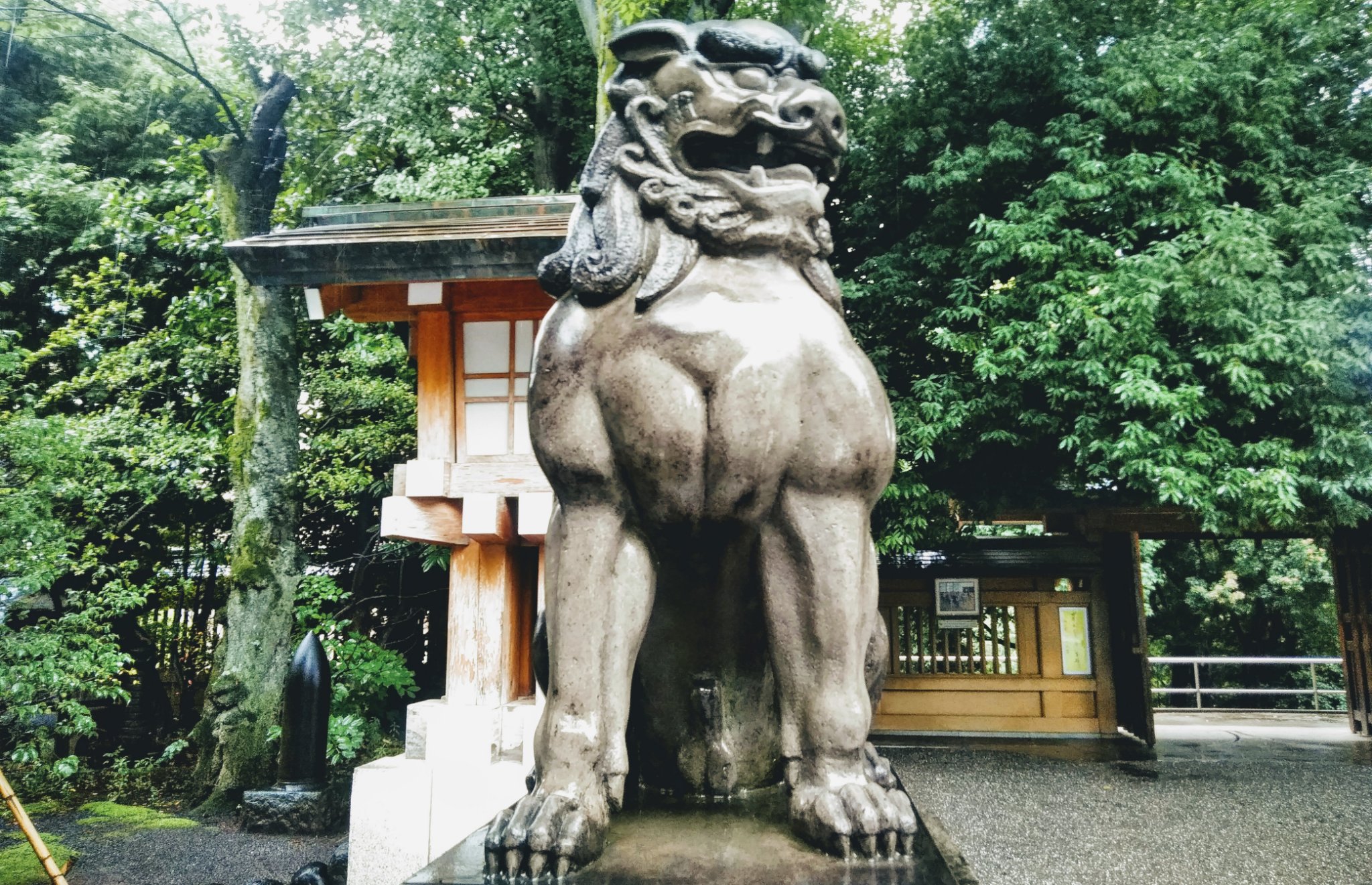 本日原宿雨 東郷の獅子見事に割れておりますオレについて来いって感じ