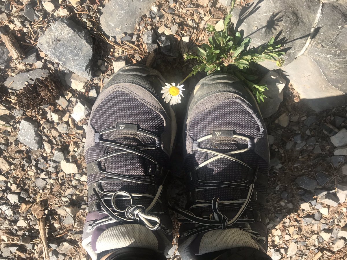itasaenz's tweet photo. ... 15km, SundayFunday, lo mejor de todo la recuperación 🍕🤤 

#outdoorrunner #adventureisoutthere #LaMarta #visitCoahuila #visitmexico #nuncanocorriendo #SundayFunday #SundayWorkout #15km #nuncanoentrenando #NIKE #exerciseyourdemons #justdoit #saliendodelazonadeconfort https://t.co/rRGJG8aIdK