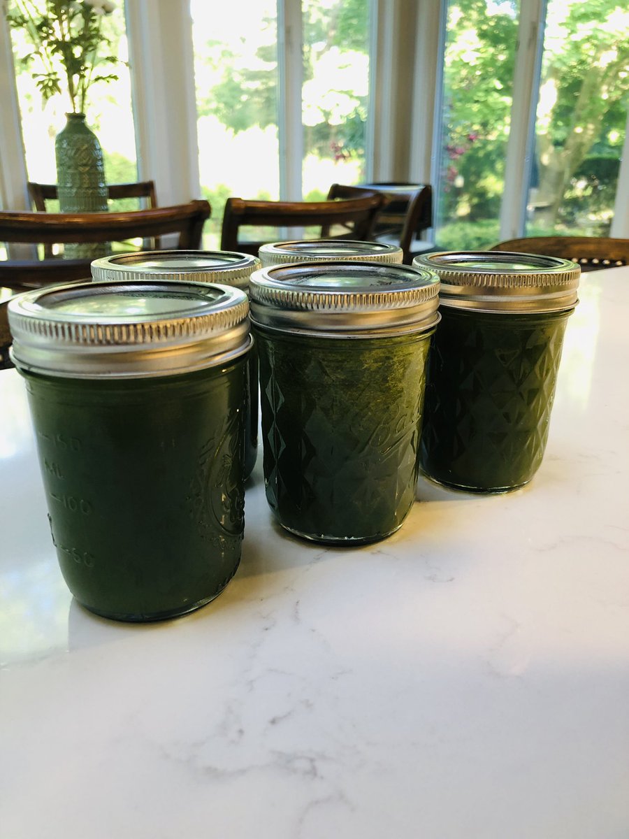Made the most delicious Green Me Up Juice by <a href="/Kris_Carr/">Kris_Carr</a> #GlobalWellnessDay #wellnessthatworks #smwwwpatchogue