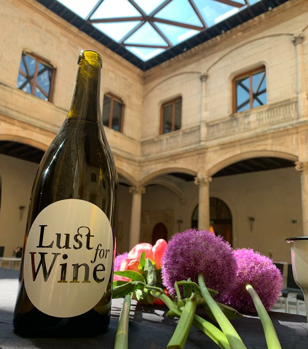 lustforwine_es's tweet photo. Hoy hemos realizado un recorrido por 'Emociones de la vida' con @TrioPortamento en el Palacio de Saldañuela. Con música y vinos como #GranCaus, #ElHelechal, #Youfuckmywine y #VanZellers. ¡Gracias a todos por venir y disfrutar! https://t.co/ysobKRaRuq