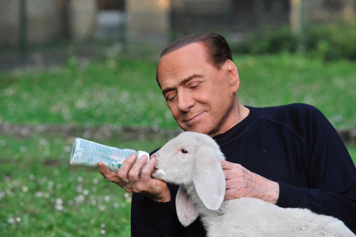 davidallegranti's tweet photo. Diffidate delle imitazioni https://t.co/8UtEdaH3LH