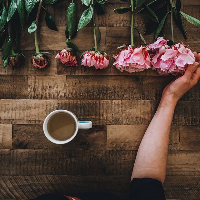 winnettes_'s tweet photo. Beginning to End 🌸
•
I couldn’t believe me luck when I realised I had peonies in my bunch that showed them from the beginning to the end of their blooms 🌸
•
How has your weekend been? Has it flown past as quickly as mine?
•
Don’t forget I’d love … https://t.co/KMa8wV039I https://t.co/X9GANfquzf