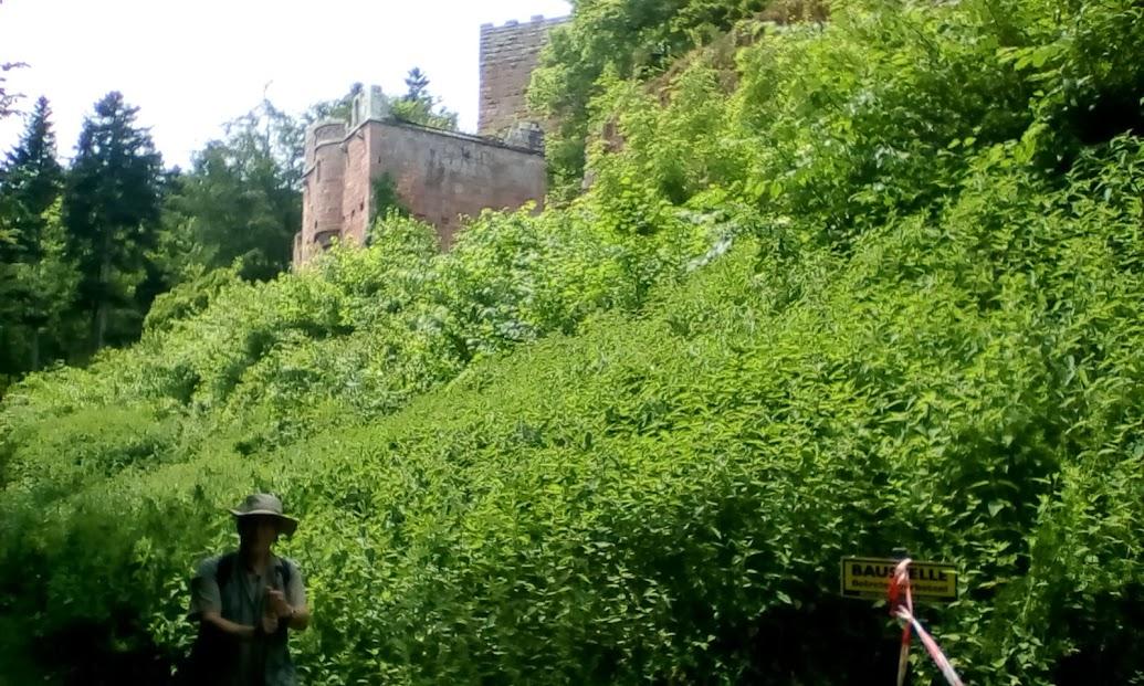 OberstWKlink's tweet photo. 'Just one more hill...' The ruin of #Wildenberg castle. https://t.co/Yi7fmKgWp2 https://t.co/UbgXoXcf1D