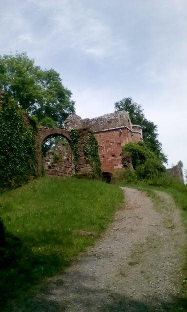 OberstWKlink's tweet photo. 'Just one more hill...' The ruin of #Wildenberg castle. https://t.co/Yi7fmKgWp2 https://t.co/UbgXoXcf1D