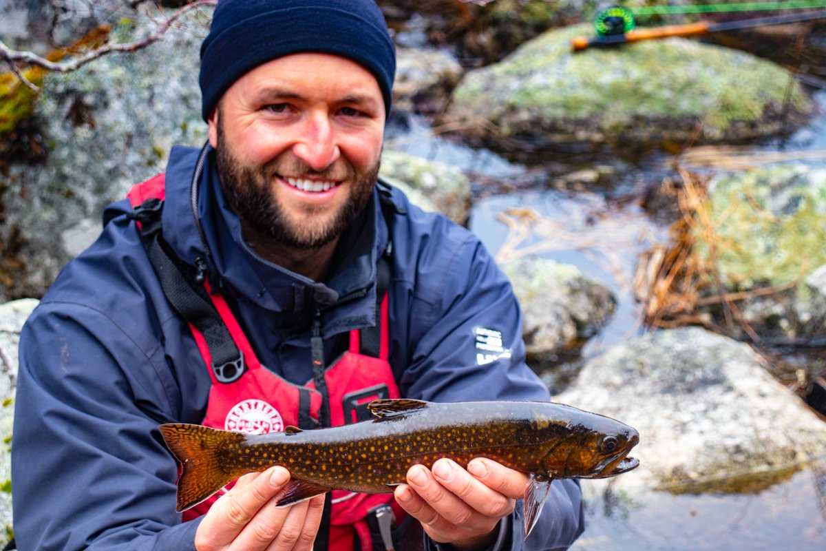 The brook trout were absolutely wild in Nova Scotia. Nothing compares to the colours on these guys and even better when it's a top water bite 🎣 Video below 👇
.
youtu.be/RDGqEESo68Q
.
#FindYourNorth #NorthernScavenger #BrookTrout #FlyFishing #NovaScotia #HalifaxNoise