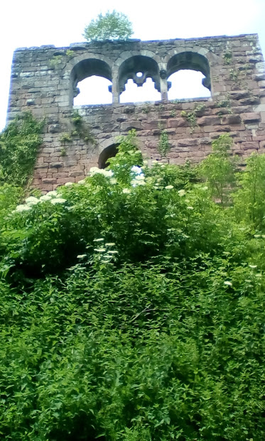 OberstWKlink's tweet photo. 'Just one more hill...' The ruin of #Wildenberg castle. https://t.co/Yi7fmKgWp2 https://t.co/UbgXoXcf1D