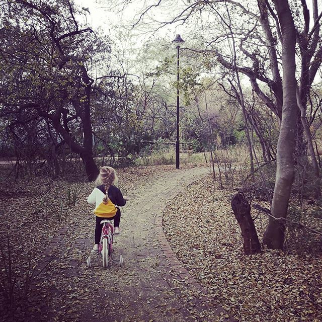 Sunday afternoon bike ride

#winter #bicycle #autumn #girl #toddlersofinstagram bit.ly/2Wtu20e
